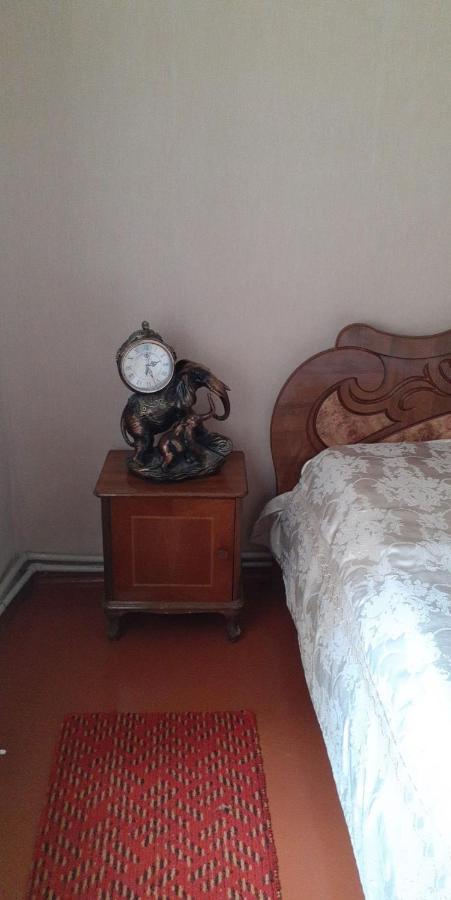 Guest House Otilia ギュムリ エクステリア 写真