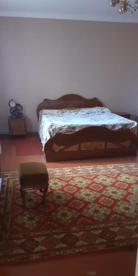 Guest House Otilia ギュムリ エクステリア 写真